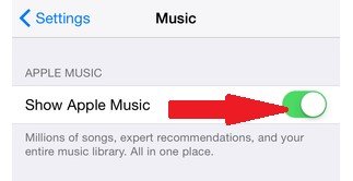 「AppleMusicを表示」ボタンを確認します