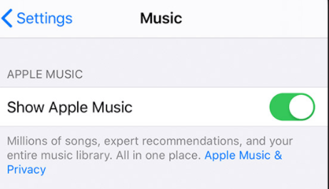 消えたAppleMusicプレイリストを解決するためのShowApple MusicOptionを確認する