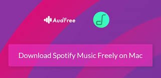 AudFreeの表示 Spotify 音楽コンバーター