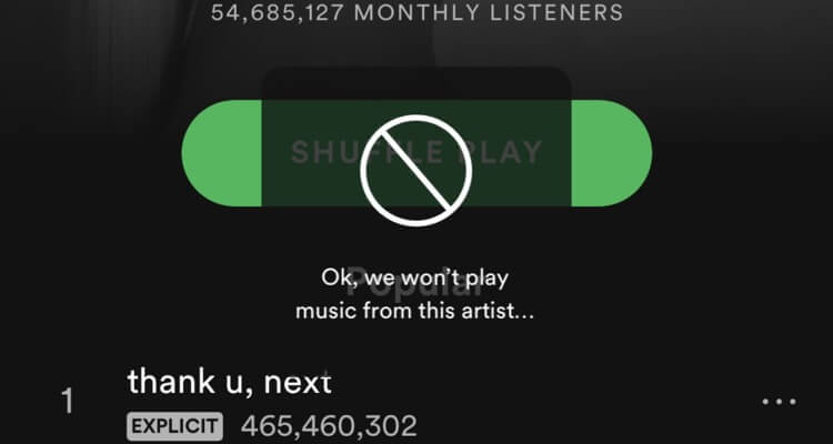 Spotifyがブロックされました